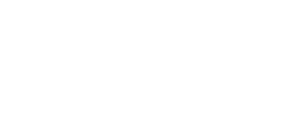 aesthetics coaching